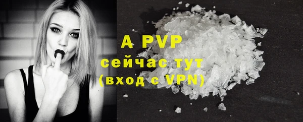 apvp Кодинск