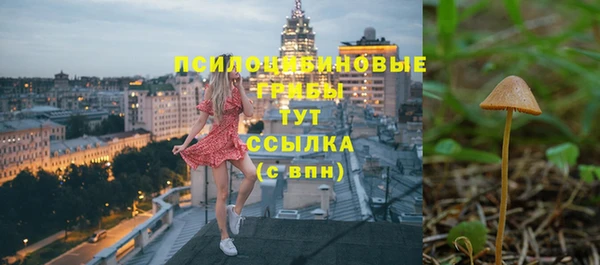 Альфа ПВП Корсаков
