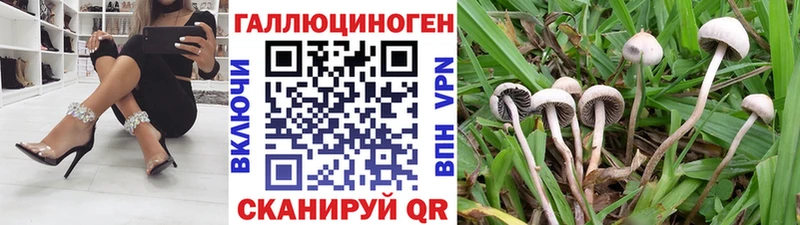 Псилоцибиновые грибы ЛСД  Купить закладки  Белоярский 